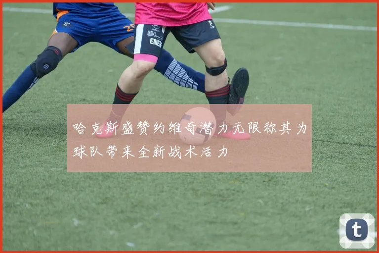 哈克斯盛赞约维奇潜力无限称其为球队带来全新战术活力