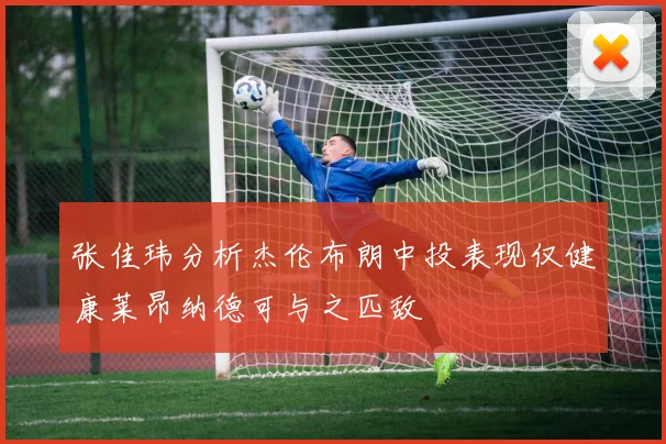 张佳玮分析杰伦布朗中投表现仅健康莱昂纳德可与之匹敌