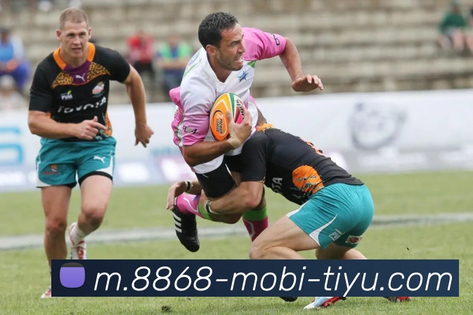 8868体育发展历程